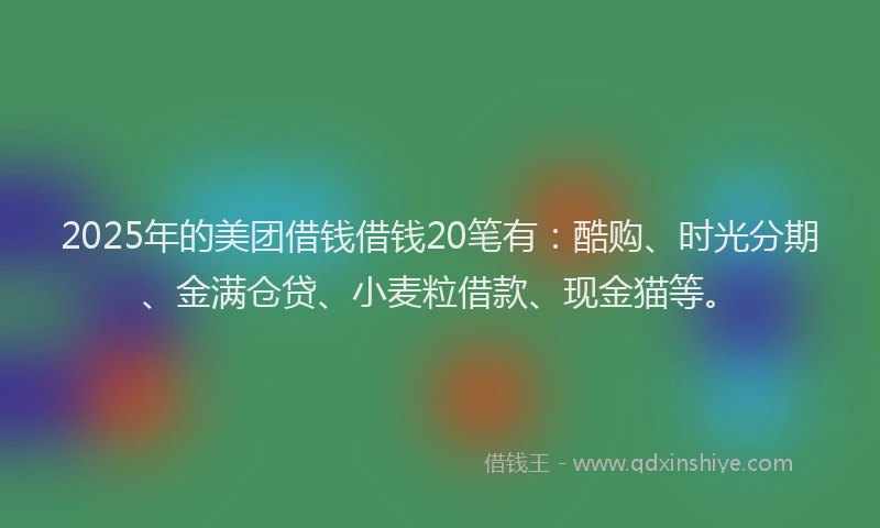 2025年的美团借钱借钱20笔有：酷购、时光分期、金满仓贷、小麦粒借款、现金猫等。