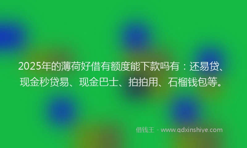 2025年的薄荷好借有额度能下款吗有：还易贷、现金秒贷易、现金巴士、拍拍用、石榴钱包等。
