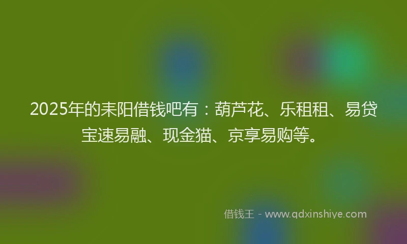 2025年的耒阳借钱吧有：葫芦花、乐租租、易贷宝速易融、现金猫、京享易购等。