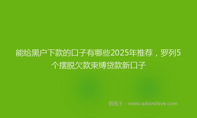 能给黑户下款的口子有哪些2025年推荐，罗列5个摆脱欠款束缚贷款新口子