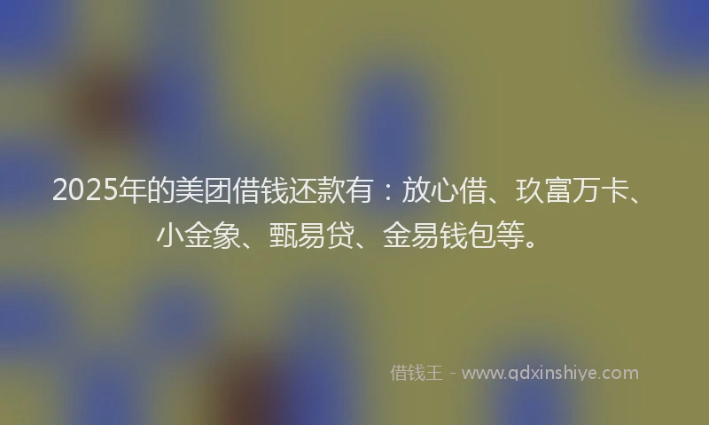 2025年的美团借钱还款有：放心借、玖富万卡、小金象、甄易贷、金易钱包等。