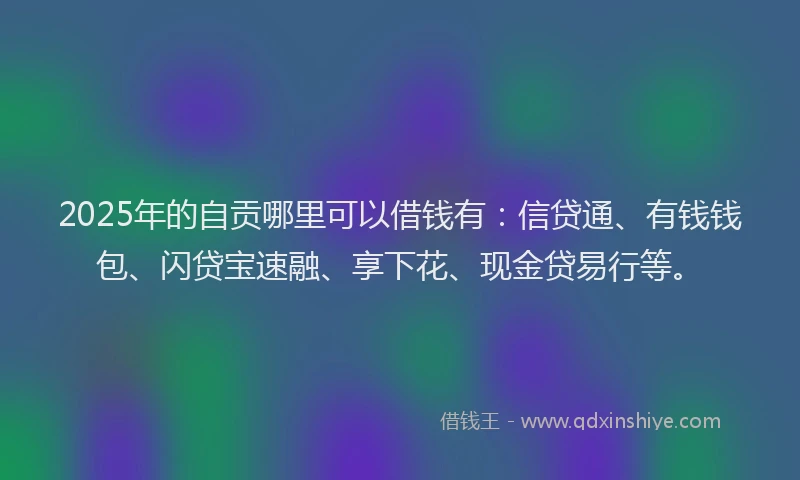 2025年的自贡哪里可以借钱有：信贷通、有钱钱包、闪贷宝速融、享下花、现金贷易行等。