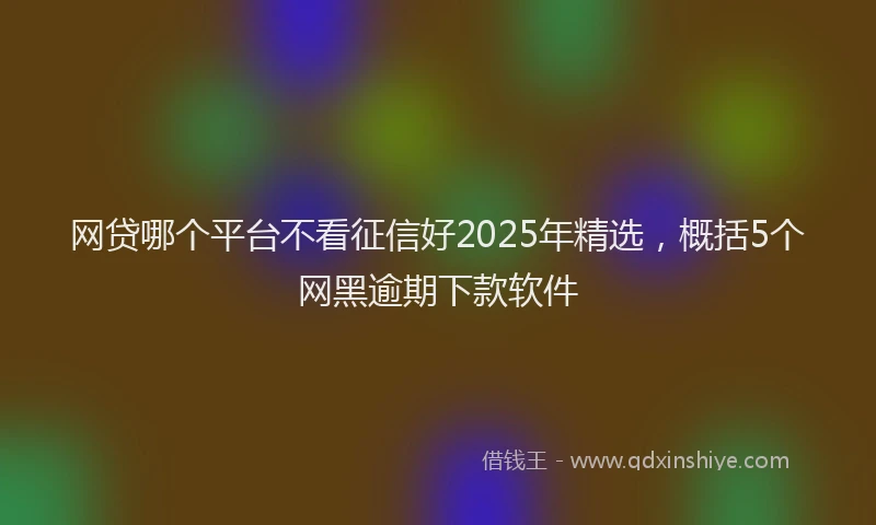 网贷哪个平台不看征信好2025年精选，概括5个网黑逾期下款软件