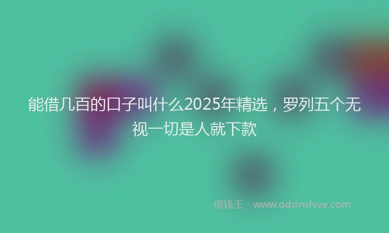 能借几百的口子叫什么2025年精选，罗列五个无视一切是人就下款