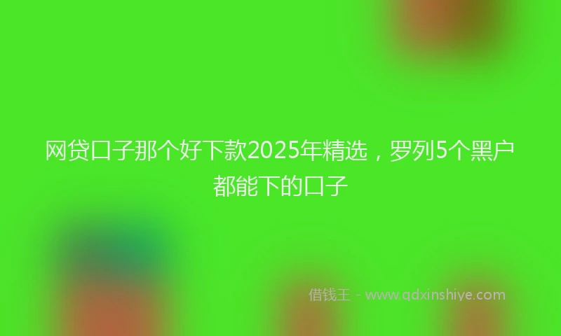 网贷口子那个好下款2025年精选，罗列5个黑户都能下的口子