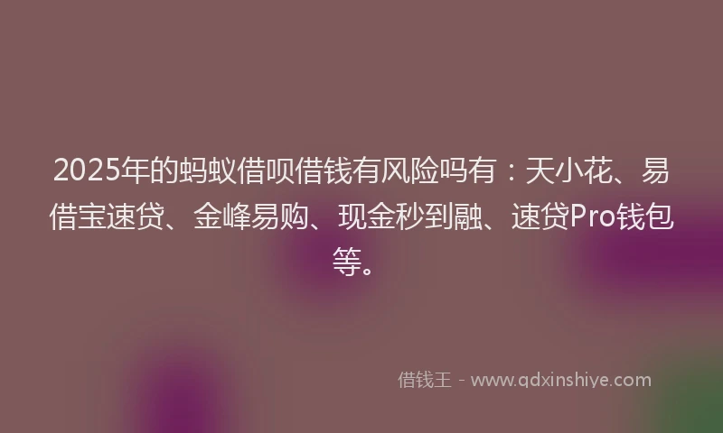 2025年的蚂蚁借呗借钱有风险吗有：天小花、易借宝速贷、金峰易购、现金秒到融、速贷Pro钱包等。