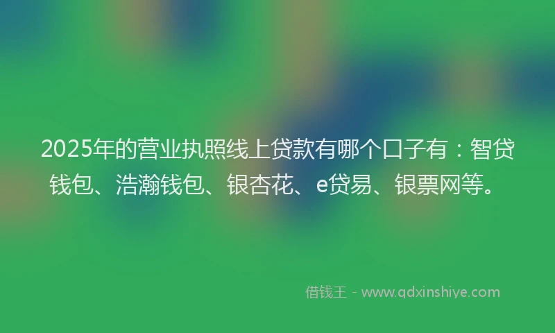 2025年的营业执照线上贷款有哪个口子有：智贷钱包、浩瀚钱包、银杏花、e贷易、银票网等。