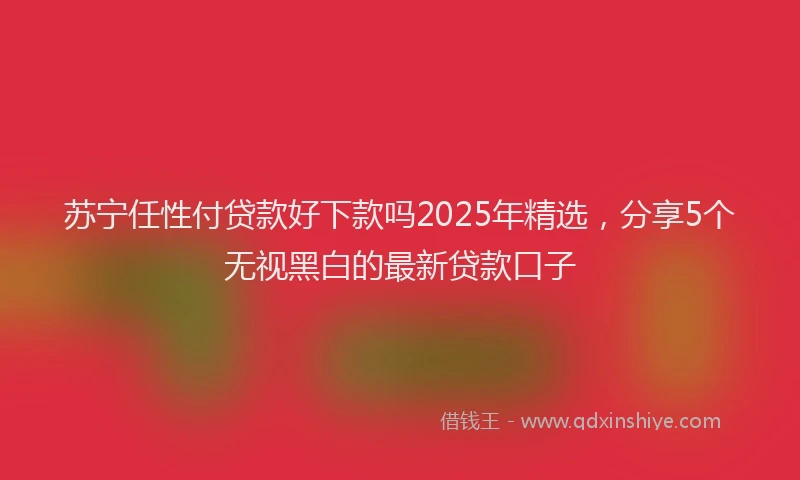苏宁任性付贷款好下款吗2025年精选，分享5个无视黑白的最新贷款口子