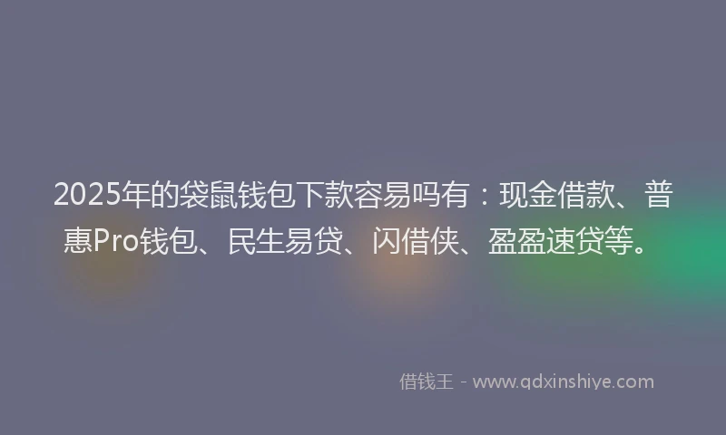 2025年的袋鼠钱包下款容易吗有：现金借款、普惠Pro钱包、民生易贷、闪借侠、盈盈速贷等。