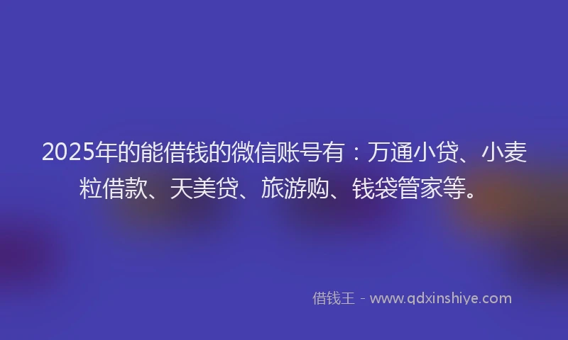 2025年的能借钱的微信账号有：万通小贷、小麦粒借款、天美贷、旅游购、钱袋管家等。