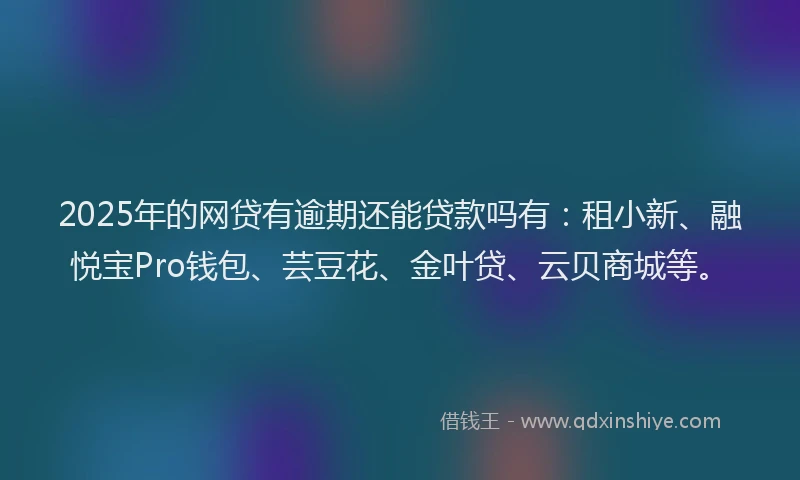 2025年的网贷有逾期还能贷款吗有：租小新、融悦宝Pro钱包、芸豆花、金叶贷、云贝商城等。