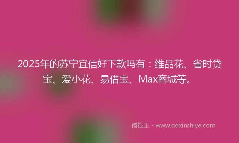2025年的苏宁宜信好下款吗有：维品花、省时贷宝、爱小花、易借宝、Max商城等。