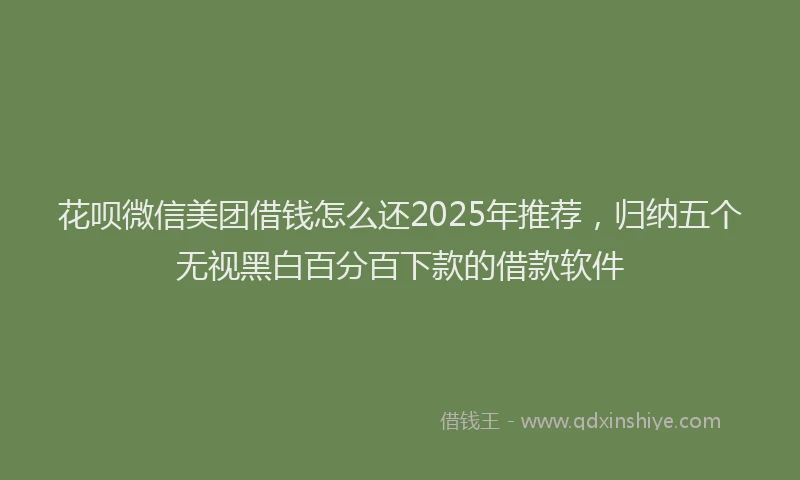 花呗微信美团借钱怎么还2025年推荐，归纳五个无视黑白百分百下款的借款软件