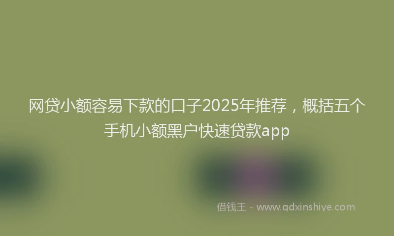 网贷小额容易下款的口子2025年推荐，概括五个手机小额黑户快速贷款app