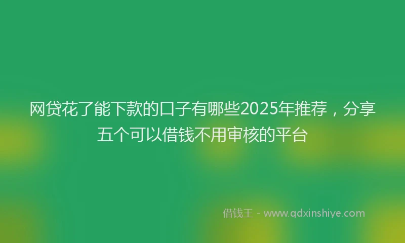 网贷花了能下款的口子有哪些2025年推荐，分享五个可以借钱不用审核的平台
