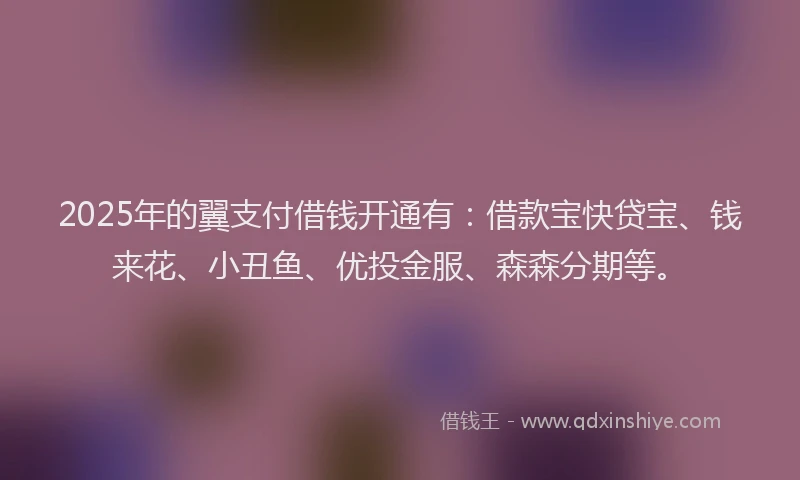 2025年的翼支付借钱开通有：借款宝快贷宝、钱来花、小丑鱼、优投金服、森森分期等。