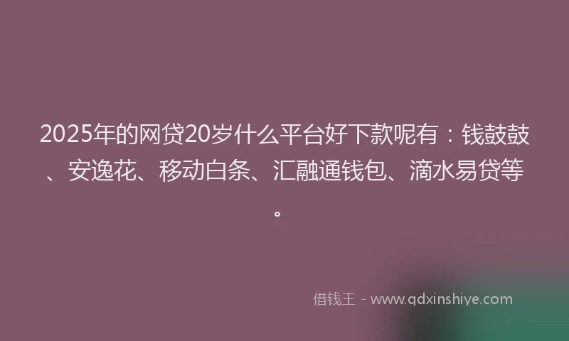 2025年的网贷20岁什么平台好下款呢有：钱鼓鼓、安逸花、移动白条、汇融通钱包、滴水易贷等。