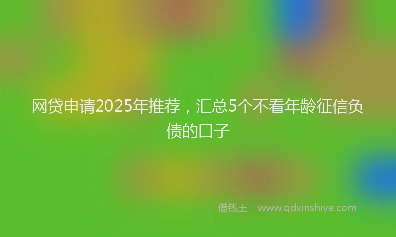 网贷申请2025年推荐，汇总5个不看年龄征信负债的口子
