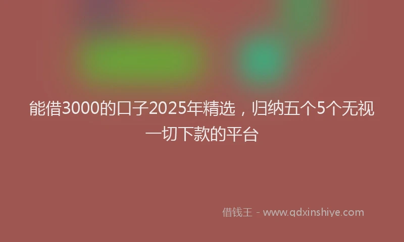 能借3000的口子2025年精选，归纳五个5个无视一切下款的平台