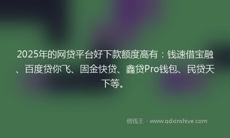 2025年的网贷平台好下款额度高有：钱速借宝融、百度贷你飞、固金快贷、鑫贷Pro钱包、民贷天下等。
