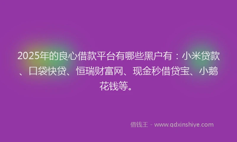 2025年的良心借款平台有哪些黑户有：小米贷款、口袋快贷、恒瑞财富网、现金秒借贷宝、小鹅花钱等。