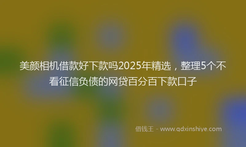 美颜相机借款好下款吗2025年精选，整理5个不看征信负债的网贷百分百下款口子