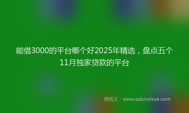 能借3000的平台哪个好2025年精选，盘点五个11月独家贷款的平台