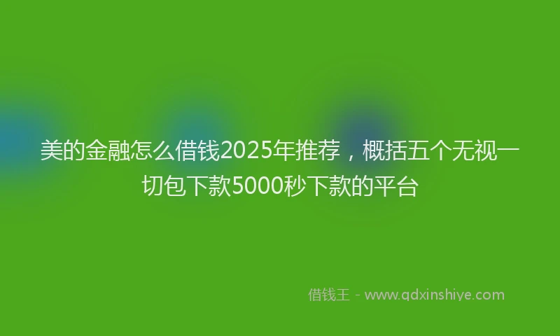 美的金融怎么借钱2025年推荐，概括五个无视一切包下款5000秒下款的平台