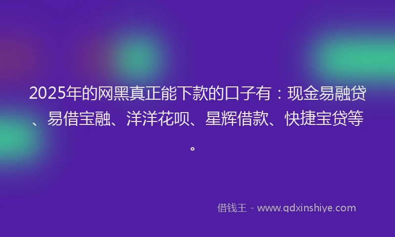 2025年的网黑真正能下款的口子有：现金易融贷、易借宝融、洋洋花呗、星辉借款、快捷宝贷等。