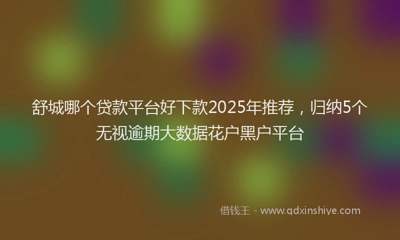 舒城哪个贷款平台好下款2025年推荐，归纳5个无视逾期大数据花户黑户平台