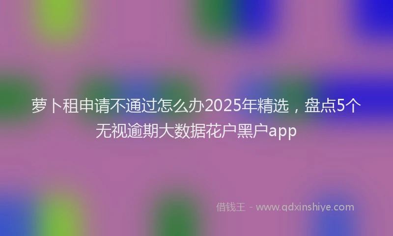 萝卜租申请不通过怎么办2025年精选，盘点5个无视逾期大数据花户黑户app