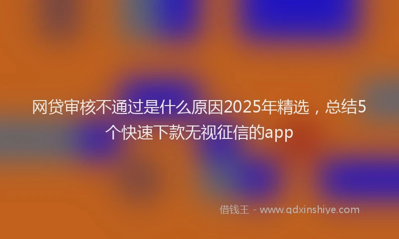 网贷审核不通过是什么原因2025年精选，总结5个快速下款无视征信的app