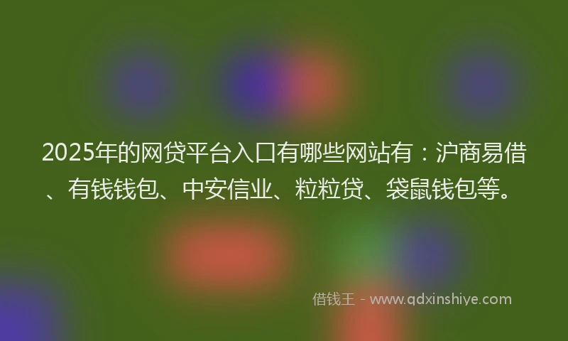 2025年的网贷平台入口有哪些网站有：沪商易借、有钱钱包、中安信业、粒粒贷、袋鼠钱包等。