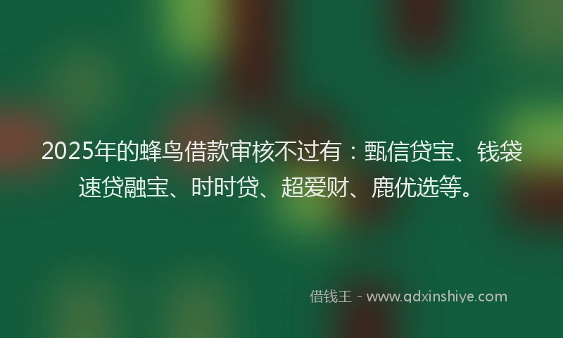 2025年的蜂鸟借款审核不过有：甄信贷宝、钱袋速贷融宝、时时贷、超爱财、鹿优选等。