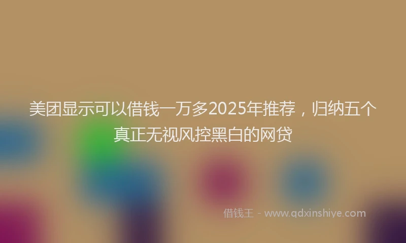 美团显示可以借钱一万多2025年推荐，归纳五个真正无视风控黑白的网贷