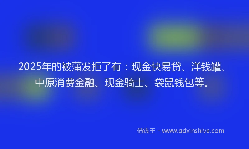 2025年的被蒲发拒了有：现金快易贷、洋钱罐、中原消费金融、现金骑士、袋鼠钱包等。