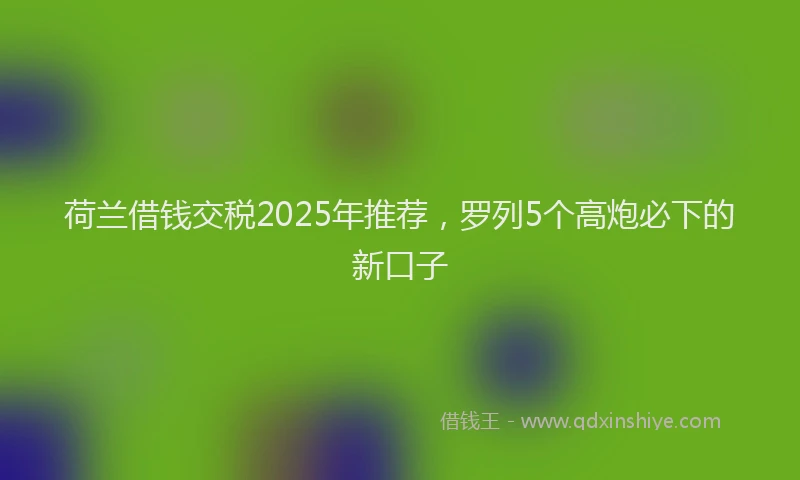荷兰借钱交税2025年推荐，罗列5个高炮必下的新口子