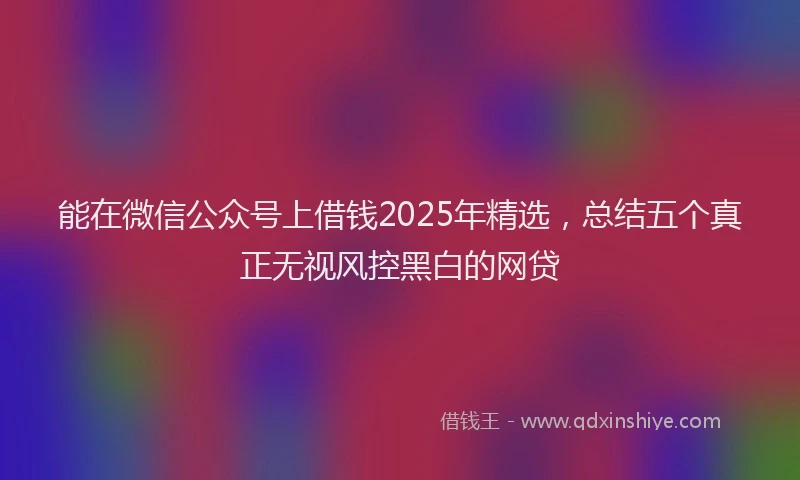 能在微信公众号上借钱2025年精选，总结五个真正无视风控黑白的网贷