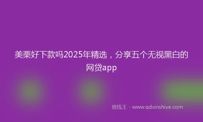 美栗好下款吗2025年精选，分享五个无视黑白的网贷app