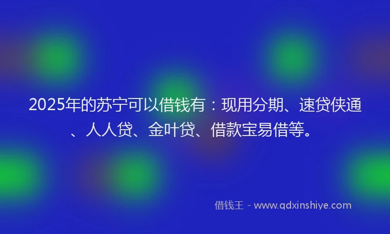 2025年的苏宁可以借钱有：现用分期、速贷侠通、人人贷、金叶贷、借款宝易借等。