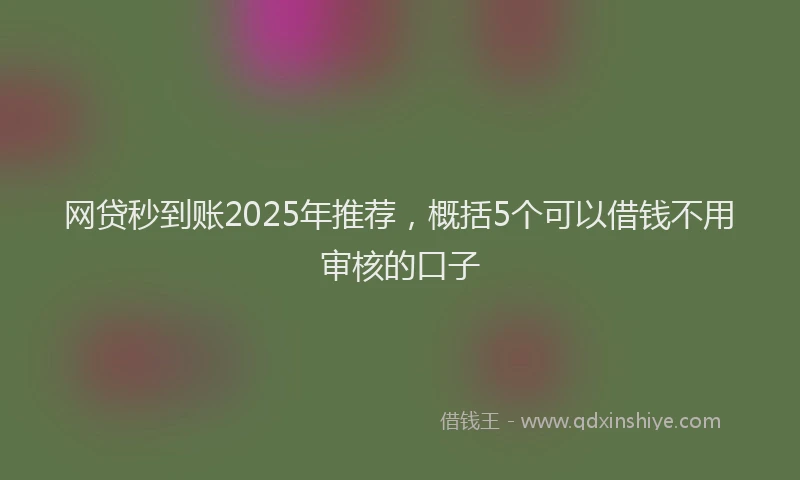 网贷秒到账2025年推荐，概括5个可以借钱不用审核的口子