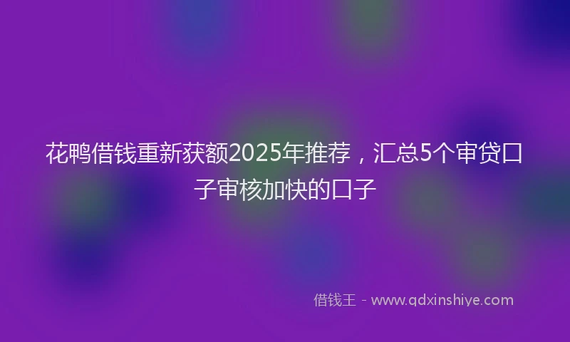 花鸭借钱重新获额2025年推荐，汇总5个审贷口子审核加快的口子