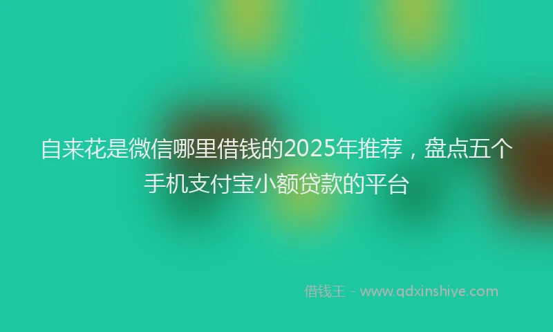 自来花是微信哪里借钱的2025年推荐，盘点五个手机支付宝小额贷款的平台