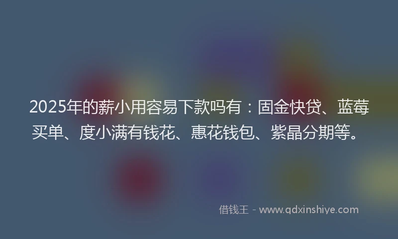 2025年的薪小用容易下款吗有：固金快贷、蓝莓买单、度小满有钱花、惠花钱包、紫晶分期等。