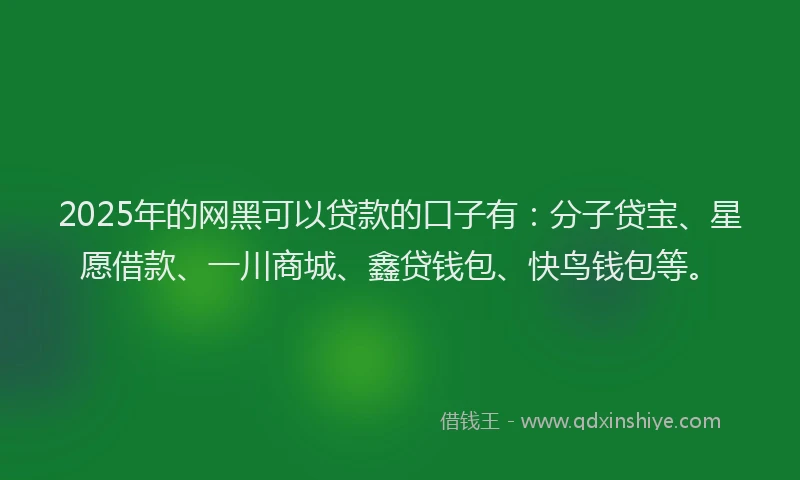2025年的网黑可以贷款的口子有：分子贷宝、星愿借款、一川商城、鑫贷钱包、快鸟钱包等。