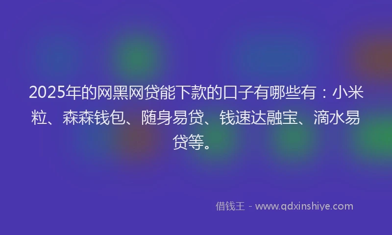 2025年的网黑网贷能下款的口子有哪些有：小米粒、森森钱包、随身易贷、钱速达融宝、滴水易贷等。