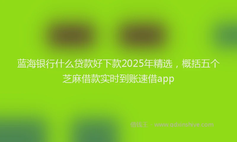 蓝海银行什么贷款好下款2025年精选，概括五个芝麻借款实时到账速借app