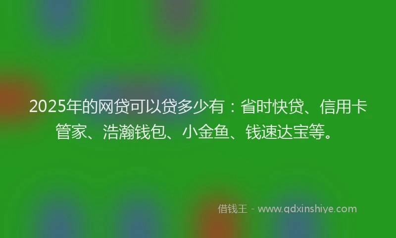 2025年的网贷可以贷多少有：省时快贷、信用卡管家、浩瀚钱包、小金鱼、钱速达宝等。