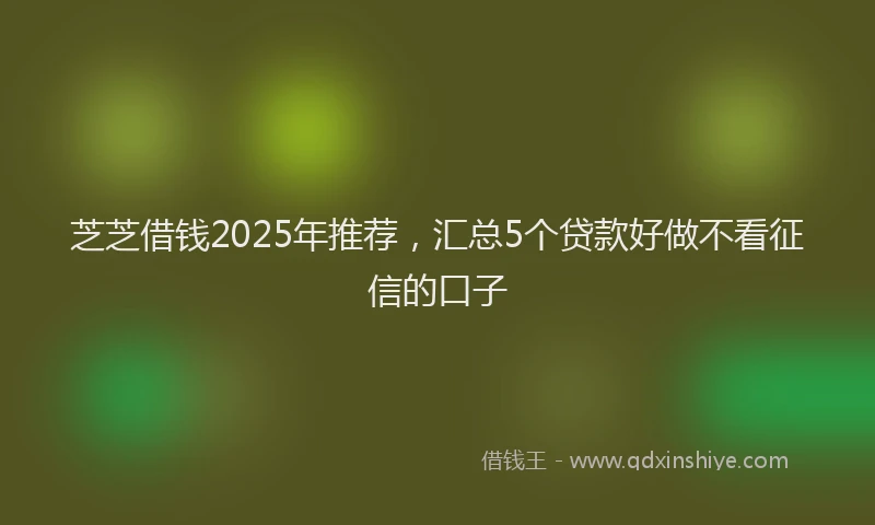 芝芝借钱2025年推荐，汇总5个贷款好做不看征信的口子