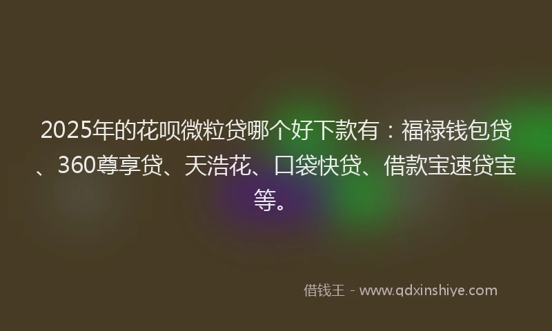 2025年的花呗微粒贷哪个好下款有：福禄钱包贷、360尊享贷、天浩花、口袋快贷、借款宝速贷宝等。